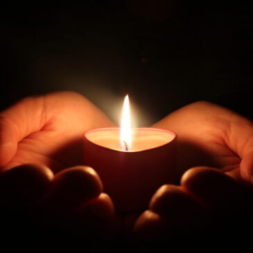 La profesionalización de la ayuda a domicilio